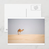 Enige kameel op Arabische zandduinen Briefkaart (Voorkant / Achterkant)