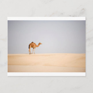 Enige kameel op Arabische zandduinen Briefkaart