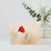 Enige Rode papaver in een grijs veld Briefkaart (Staand voorkant)