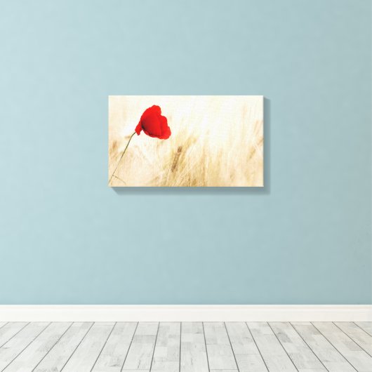 Enige Rode papaver in een grijs veld Canvas Afdruk (Insitu (Houten vloer))