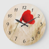 Enige Rode papaver in een grijs veld