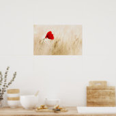 Enige Rode papaver in een grijs veld Poster (Keuken)