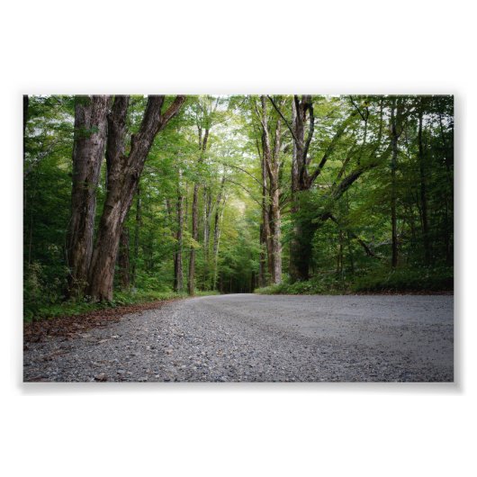 Enige weg naar ergens foto afdruk (Voorkant)