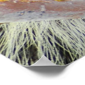 Enigma van Natuur Poster (Hoek)