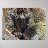 Enigma van Natuur Poster (Voorkant)