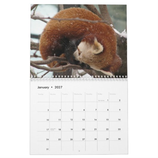 Enigszins seizoensgebonden kalender (Jan 2027)