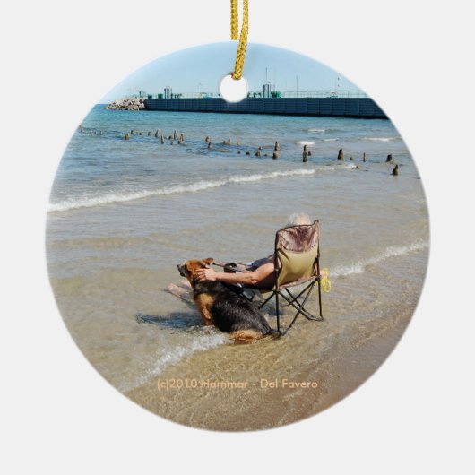 Enjoing Lake Michigan Ornament (Voorkant)