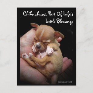 Enjoy Life's Little Blessings Briefkaart