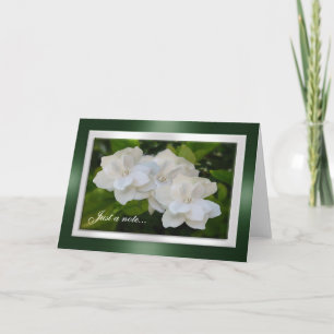 Enkel bloeien Gardenia van de notakaart Fotografie Kaart