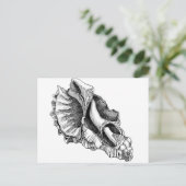 Enkel een Broken Shell Briefkaart (Staand voorkant)