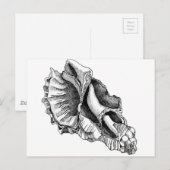 Enkel een Broken Shell Briefkaart (Voorkant / Achterkant)