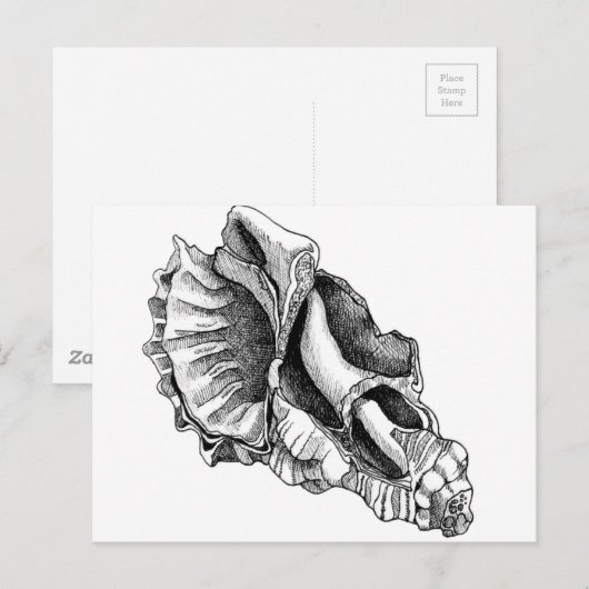 Enkel een Broken Shell Briefkaart (Voorkant / Achterkant)