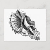 Enkel een Broken Shell Briefkaart (Voorkant)