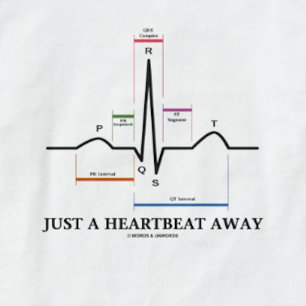 Enkel een hartslag weg (EKG/ECG) T-shirt