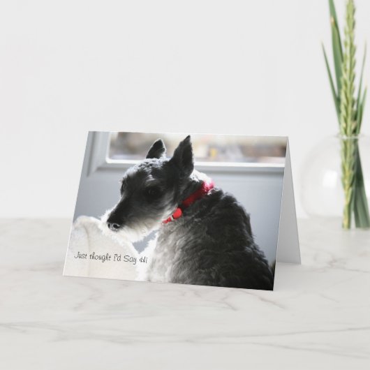 Enkel gedacht zou ik hallo zeggen kaart (Voorkant)