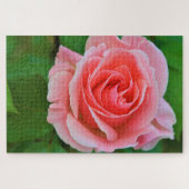 Enkel grote roze roze roze dicht legpuzzel (Horizontaal)