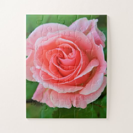Enkel grote roze roze roze dicht legpuzzel (Verticaal)