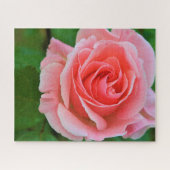 Enkel grote roze roze roze dicht legpuzzel (Horizontaal)