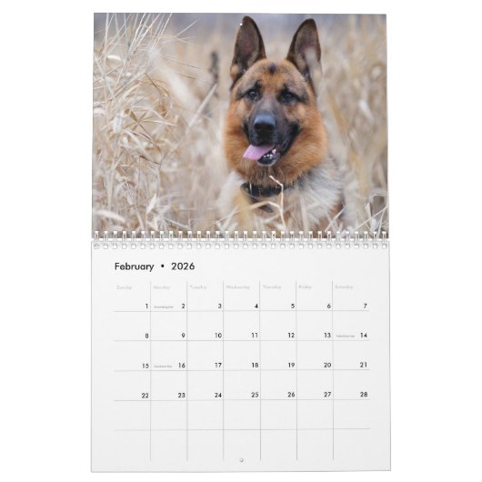 Enkel herders kalender (Feb 2026)