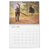 Enkel herders kalender (Jan 2026)