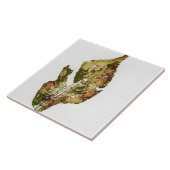 Enkel herfstblad gedrukt in realistische groenen tegeltje (Zijkant)