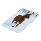 Enkel paard dat in de sneeuw loopt magneet (Linkerzijde)