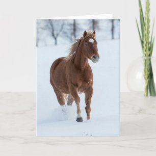 Enkel paard dat rent in de sneeuw kaart