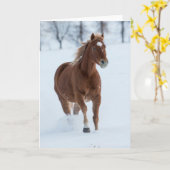 Enkel paard dat rent in de sneeuw kaart (Gele Bloem)