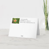 Enkel peachy kaart (Achterkant)