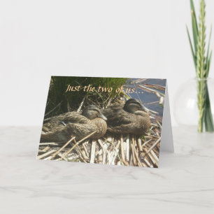 Enkel twee van ons… feestdagen kaart