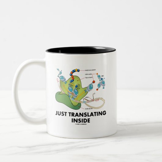 Enkel vertalen binnen (eiwitsynthese) tweekleurige koffiemok (Links)