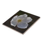 Enkel witte bloesem tegeltje (Zijkant)