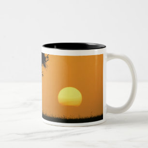 Enkele acaciaboom in silhouet bij zonsopgang, Masa Tweekleurige Koffiemok