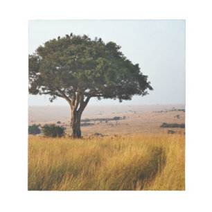 Enkele acaciaboom op grazige vlaktes, Masai Mara, Notitieblok