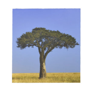 Enkele acaciaboom op grazige vlaktes, Masai Mara, Notitieblok