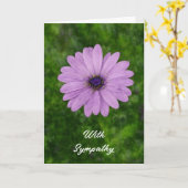 Enkele Afrikaanse Daisy Flower Art Sympathie Card Kaart (Gele Bloem)