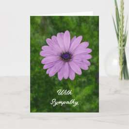 Enkele Afrikaanse Daisy Flower Art Sympathie Card Kaart