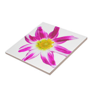 ENKELE BLOEM IN MAGENTA, WIT EN GOUD (FOTO) TEGELTJE