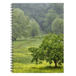 Enkele boom in landbouwveld, Toscane, 2 Notitieboek
