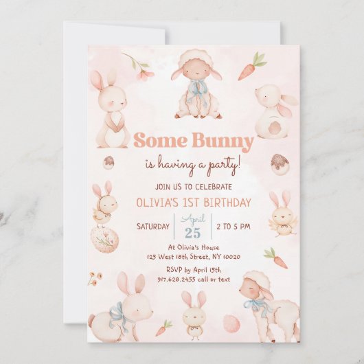 Enkele Bunny Easter Egg Spring Verjaardag Kaart (Voorkant)