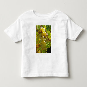 Enkele Chasselas in de wijngaard - lang geleden ge Kinder Shirts