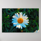 Enkele dagen poster (Voorkant)