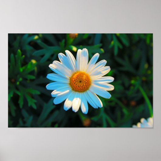 Enkele dagen poster (Voorkant)