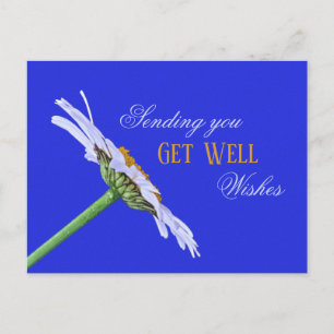 Enkele Daisy Flower op Canvas Briefkaart