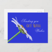 Enkele Daisy Flower op Canvas Briefkaart (Voorkant / Achterkant)