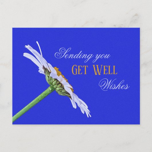 Enkele Daisy Flower op Canvas Briefkaart (Voorkant)