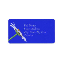 Enkele Daisy Flower op Canvas Custom