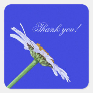 Enkele Daisy Flower op Canvas Vierkante Sticker
