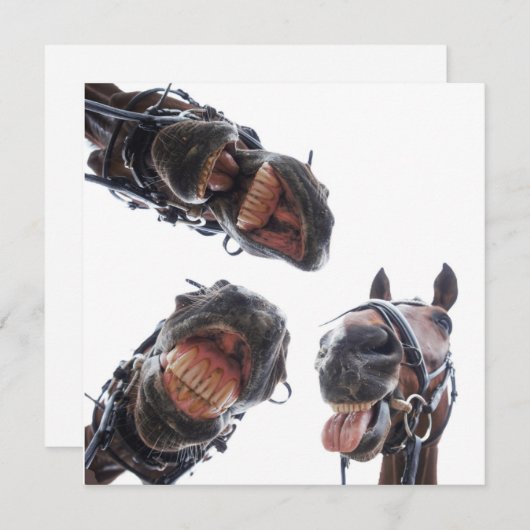 Enkele feestdagenkaart (Voorkant / Achterkant)