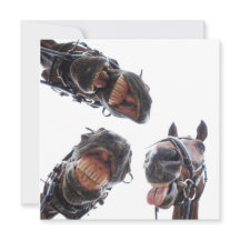 Enkele feestdagenkaart